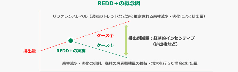 REDD+の概念図